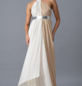 Amit Aggarwal Soft Ivory Crepe Chiffon & Metallic Polymer Dress